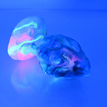 Load image into Gallery viewer, F3NBU21 Dragonfruit Plug Medium NC 0045 UV