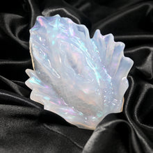 Load image into Gallery viewer, C2TCV97 Calypso Small NC 0031