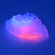 Load image into Gallery viewer, C2TCV93 Calypso Small NC 0031 UV