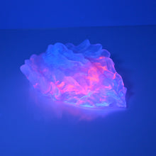 Load image into Gallery viewer, C4TCW01 Calypso Large NC 0031 UV