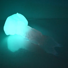 Load image into Gallery viewer, V3TBY88 Snark's Maw Medium NC 0031 UV GITD