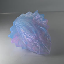 Load image into Gallery viewer, C2TCY73 Calypso Small NC 0031 UV CS