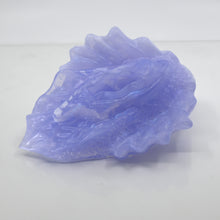 Load image into Gallery viewer, C4TCY80 Calypso Large NC 0031 UV CS