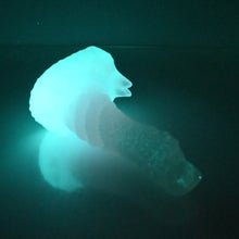 Load image into Gallery viewer, S2TBY27 Snark Small NC 0031 UV GITD