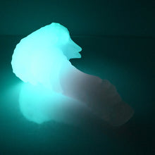 Load image into Gallery viewer, S3TBY22 Snark Medium NC 0031 UV GITD