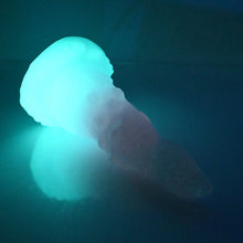 Load image into Gallery viewer, N3TBX81 Nereid Medium NC 0031 UV GITD