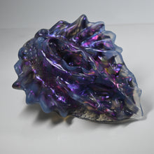 Load image into Gallery viewer, C4TDA19 Calypso Large NC 0031 CS