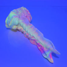Load image into Gallery viewer, V2SBC31 Snark's Maw Small Soft UV GITD