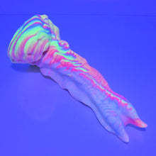 Load image into Gallery viewer, V2SBC31 Snark's Maw Small Soft UV GITD