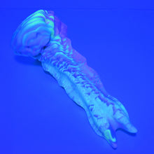 Load image into Gallery viewer, V2MBC32 Snark's Maw Small Medium UV GITD