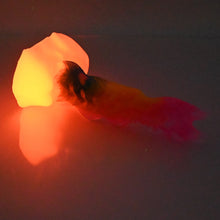 Load image into Gallery viewer, V1TCE35 Snark's Maw Mini NC 0031 UV GITD