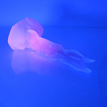 Load image into Gallery viewer, V2NCE39 Snark's Maw Small NC 0045 UV