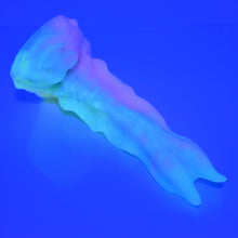 Load image into Gallery viewer, V2MBF12 Snark's Maw Small Medium UV GITD