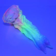 Load image into Gallery viewer, V2MBF17 Snark's Maw Small Medium UV GITD