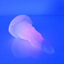 Load image into Gallery viewer, N1NCD96 Nereid Mini NC 0045 UV