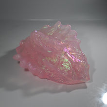 Load image into Gallery viewer, C4TDF46 Calypso Large NC 0031 CS