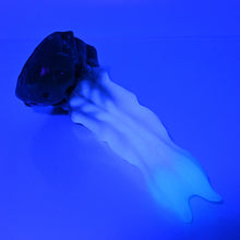 Load image into Gallery viewer, V2SBH44 Snark's Maw Small Soft UV GITD