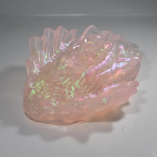 Load image into Gallery viewer, C4TDH13 Calypso Large NC 0031 CS