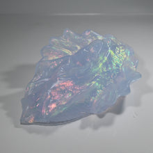 Load image into Gallery viewer, C4TDH12 Calypso Large NC 0031 CS