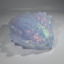 Load image into Gallery viewer, C4TDH12 Calypso Large NC 0031 CS