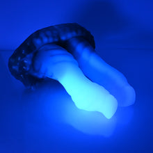 Load image into Gallery viewer, A3NCH59 Auren Medium NC 0045 UV