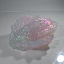 Load image into Gallery viewer, C4TDJ41 Calypso Large NC 0031 CS