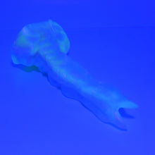 Load image into Gallery viewer, V2MBL98 Snark's Maw Small 0050 UV