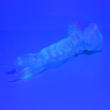 Load image into Gallery viewer, V3MBM10 Snark's Maw Medium 0050 UV