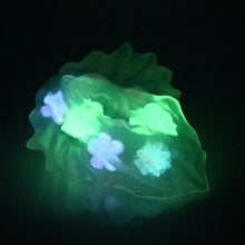 Load image into Gallery viewer, C4TDK91 Calypso Large NC 0031 CS