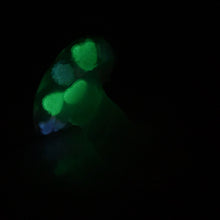 Load image into Gallery viewer, R3TDL95 Oberon Medium NC 0031 UV GITD CS
