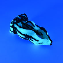Load image into Gallery viewer, A3XJR37 Alara Medium 0020 UV GITD
