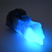 Load image into Gallery viewer, A4SFL73 Alara Large 0030 UV GITD CS
