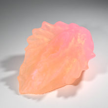 Load image into Gallery viewer, C2TFN85 Calypso Small NC 0031 UV CS
