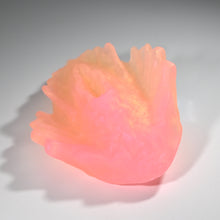 Load image into Gallery viewer, C2TFN85 Calypso Small NC 0031 UV CS
