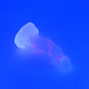 32THQ02 Celia Small NC 0031 UV CS