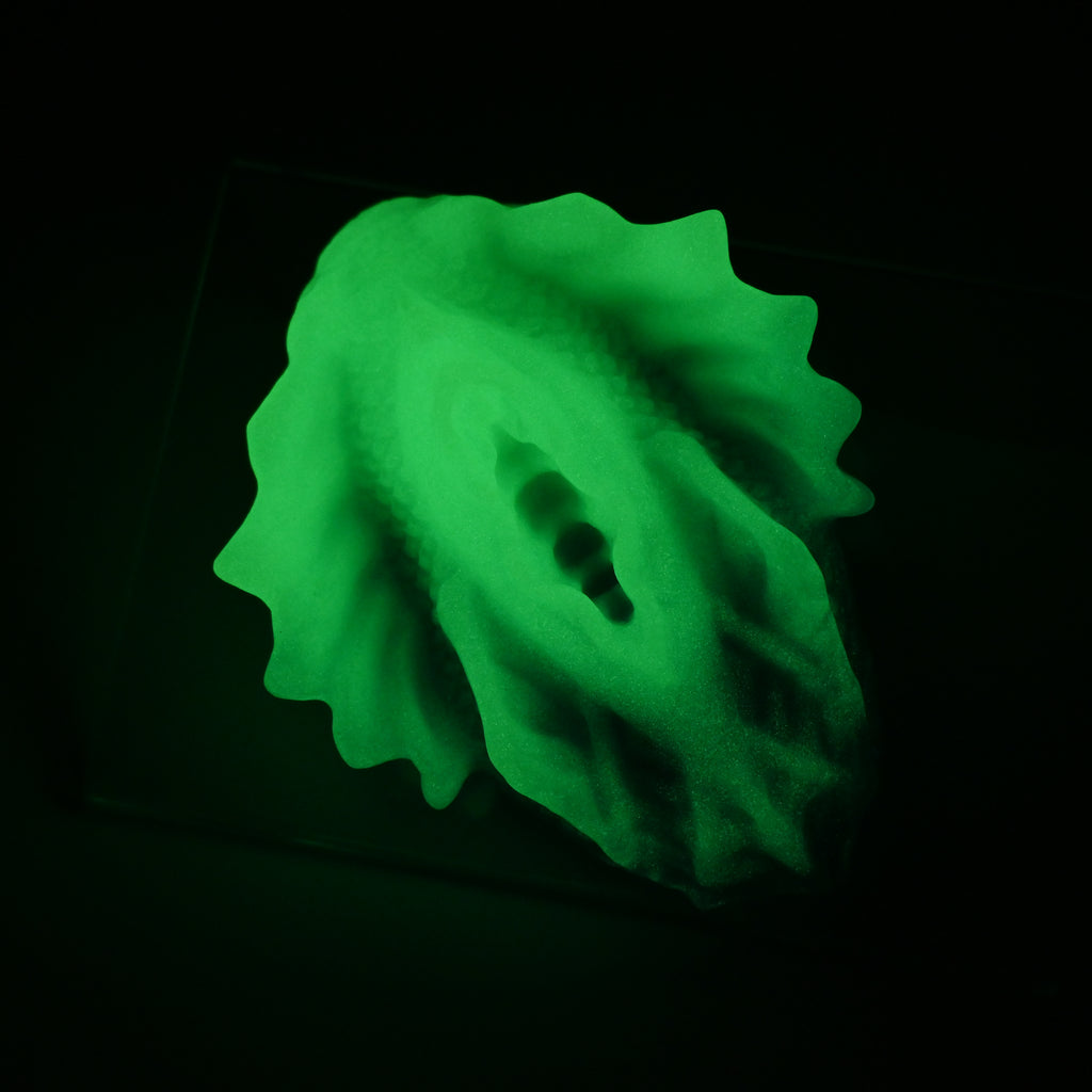 C2XJT48 Calypso Small 0020 UV GITD