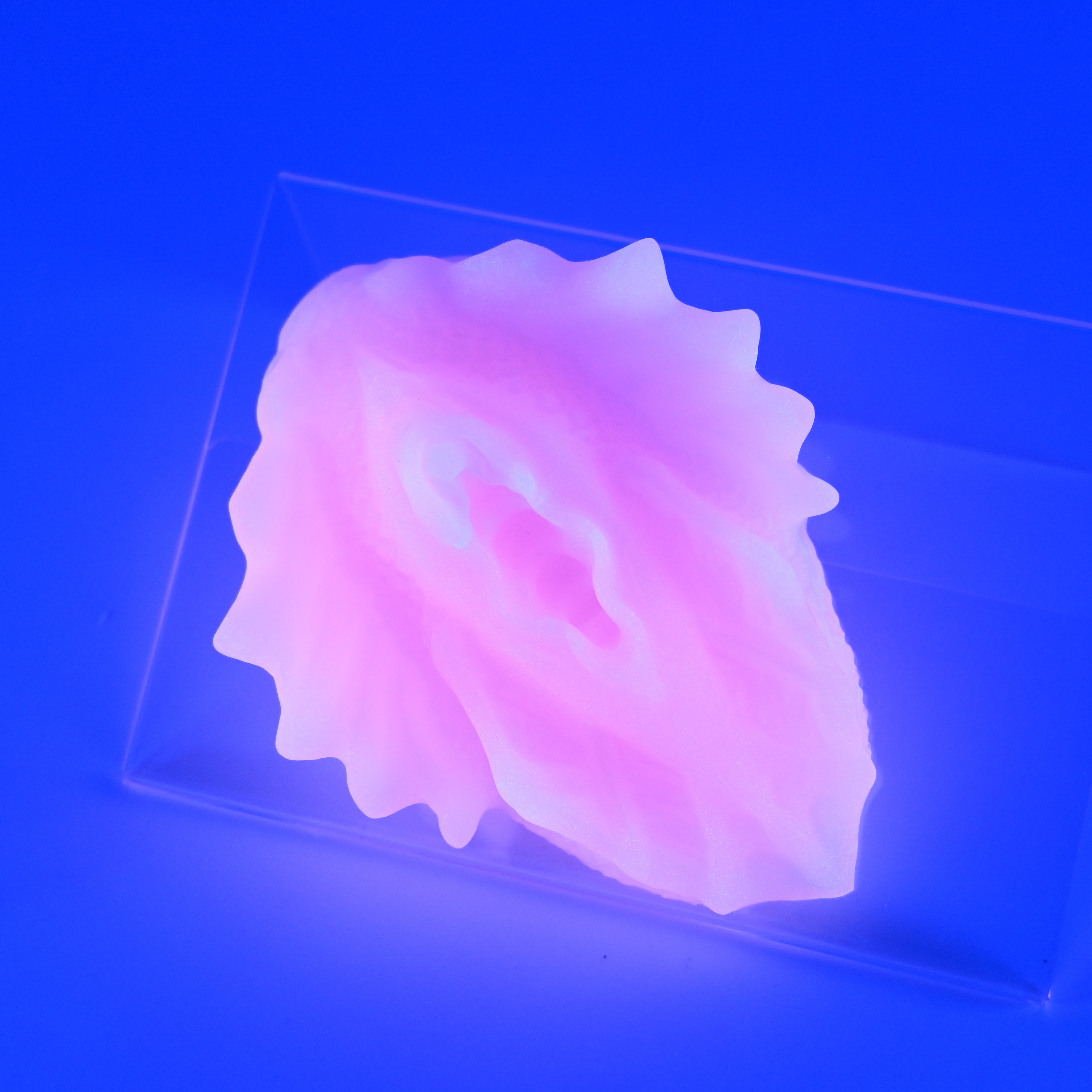 C2XJT49 Calypso Small 0020 UV GITD