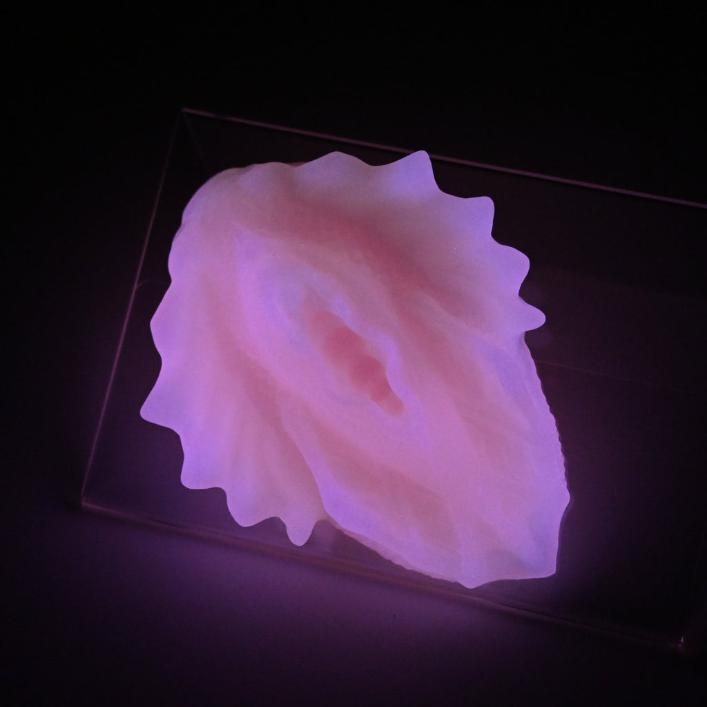 C2XJT49 Calypso Small 0020 UV GITD