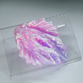 C2SJT51 Calypso Small 0030 UV GITD