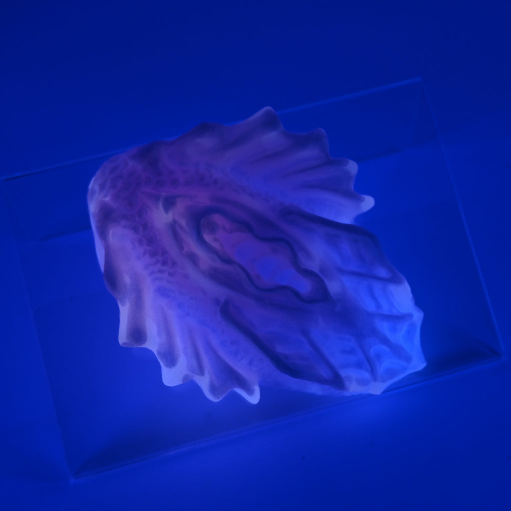 C2SJT51 Calypso Small 0030 UV GITD