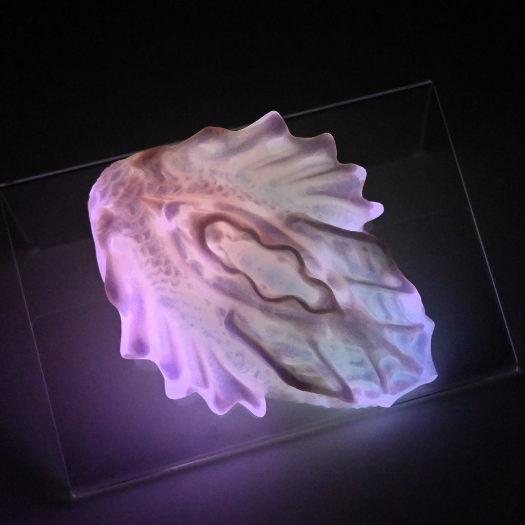 C2SJT51 Calypso Small 0030 UV GITD