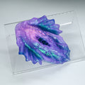 C2TJT52 Calypso Small NC 0031 CS