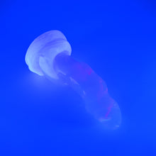 Load image into Gallery viewer, 34THQ16^ Celia Large NC 0031 UV CS GHPA
