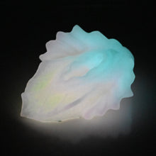Load image into Gallery viewer, C2XEN06 Calypso Small 0020 UV GITD

