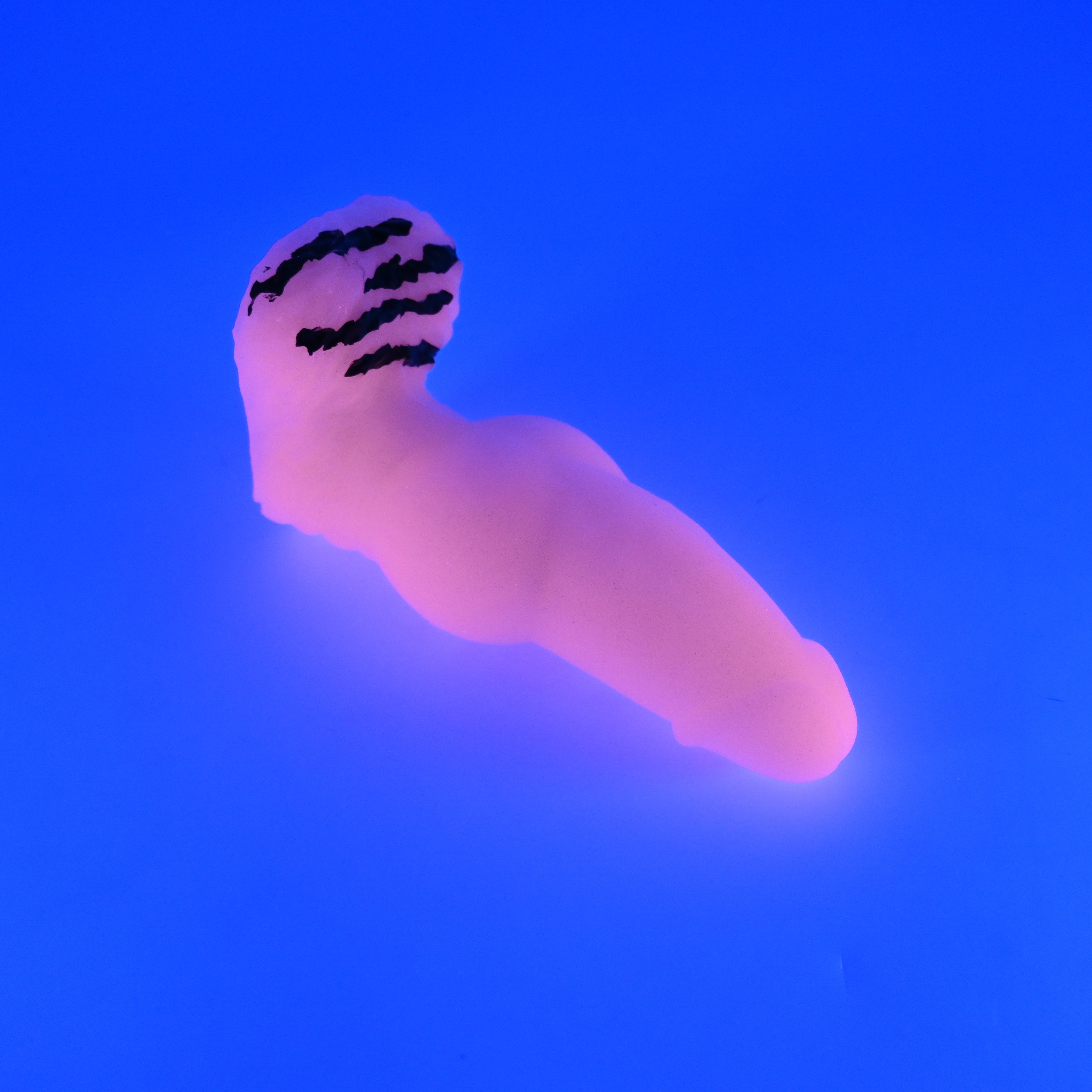 52MJS92 Jacob Small 0050 UV GITD
