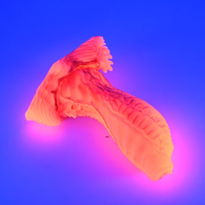 X3SHR38u Shin Medium 0030 UV GITD GHU
