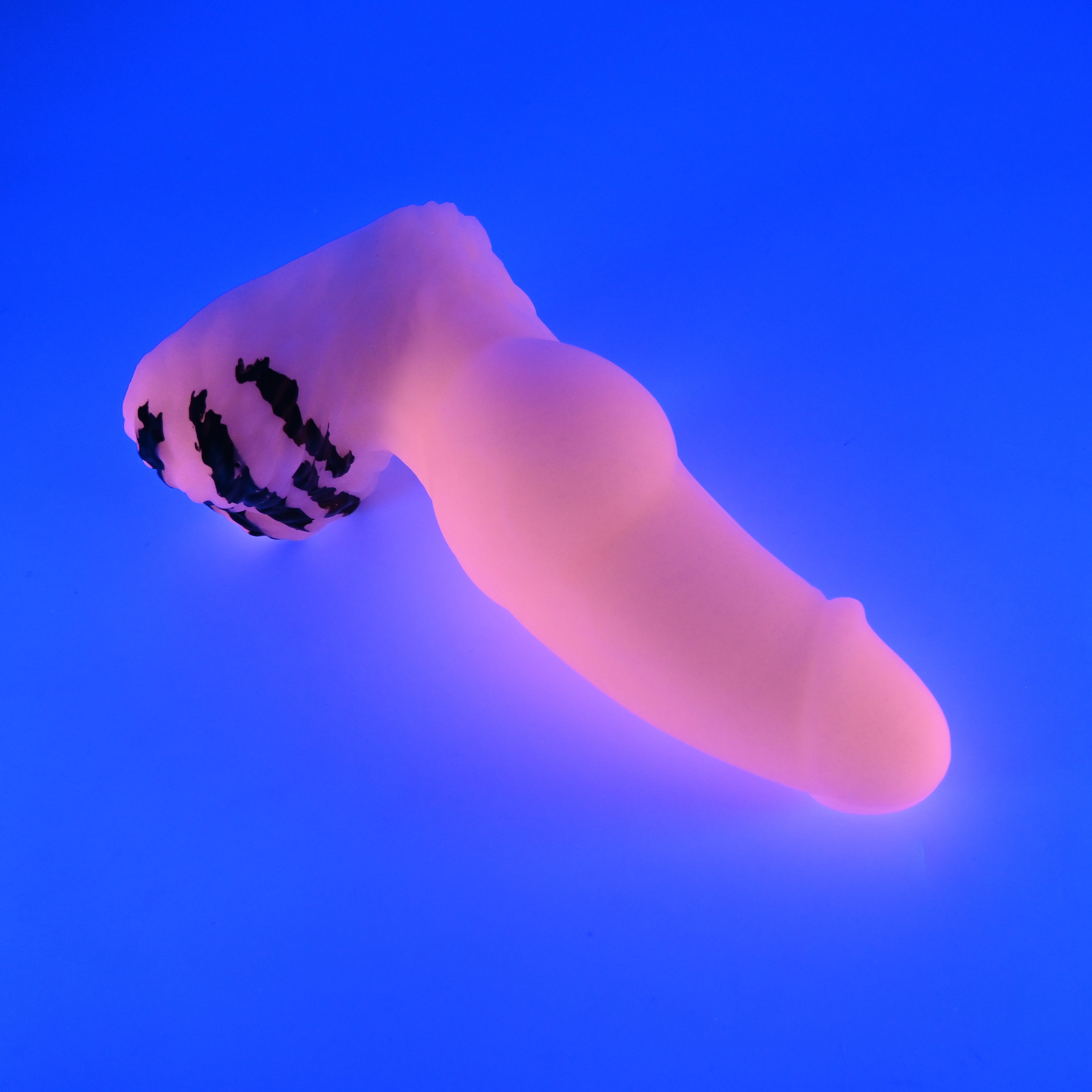 53MJS00 Jacob Medium 0050 UV GITD GOBLIN HOLE *FLOP*