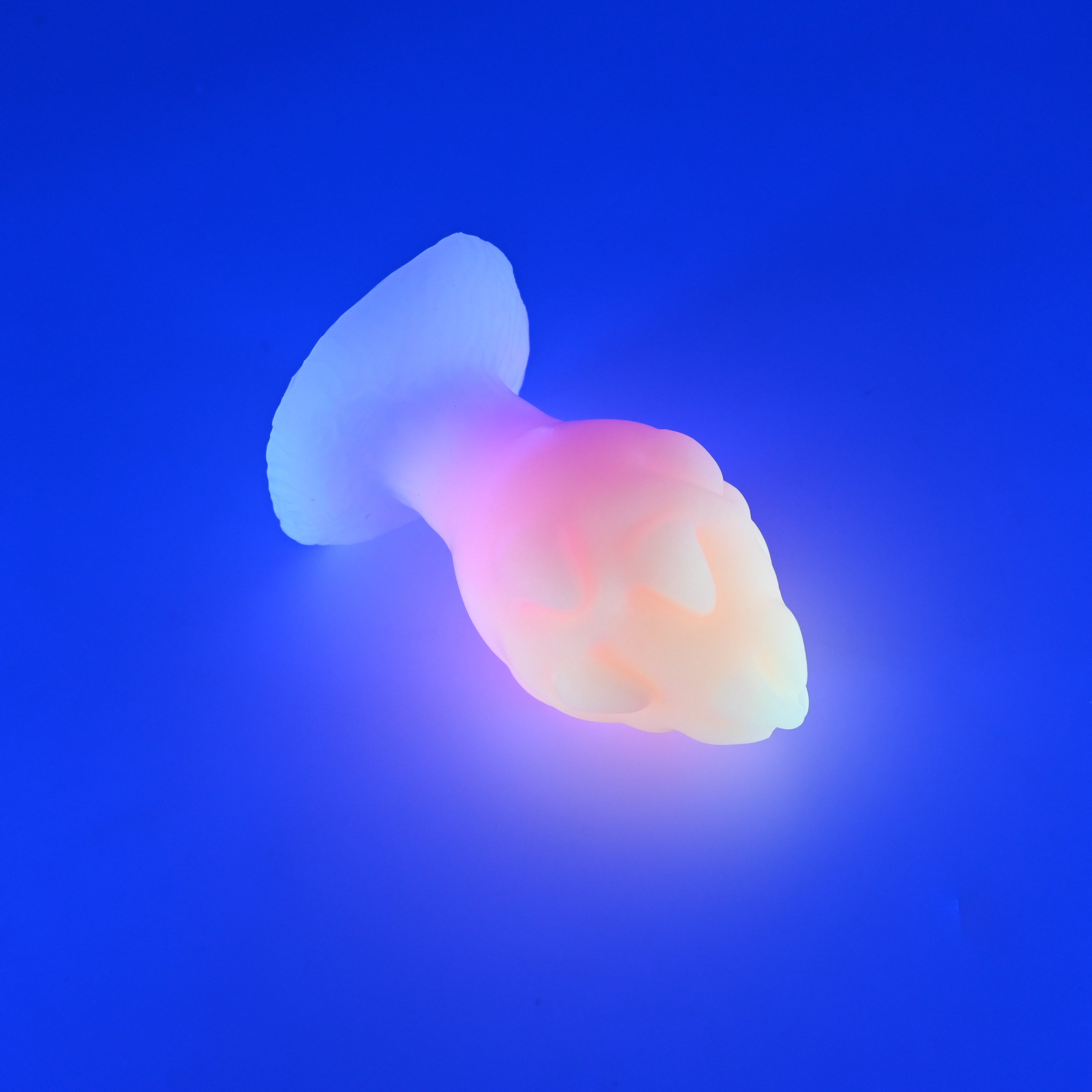 F3SJT57 Dragonfruit Plug Medium 0030 UV GITD