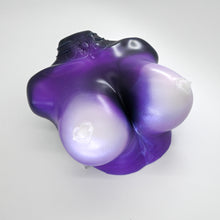 Load image into Gallery viewer, D4XHQ58 Celeste Large 0020 CS
