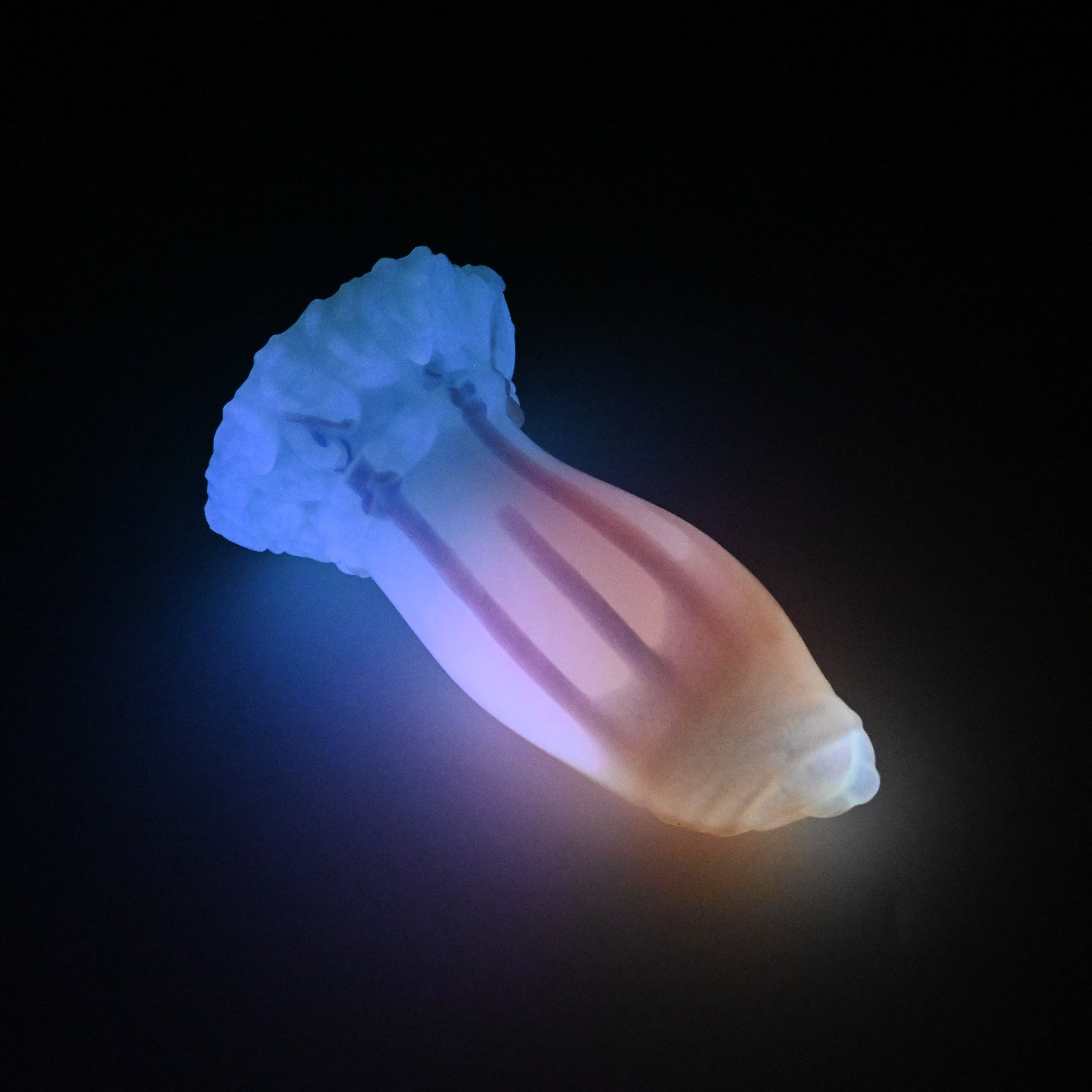 82SJT27 Hue Small 0030 UV GITD CS